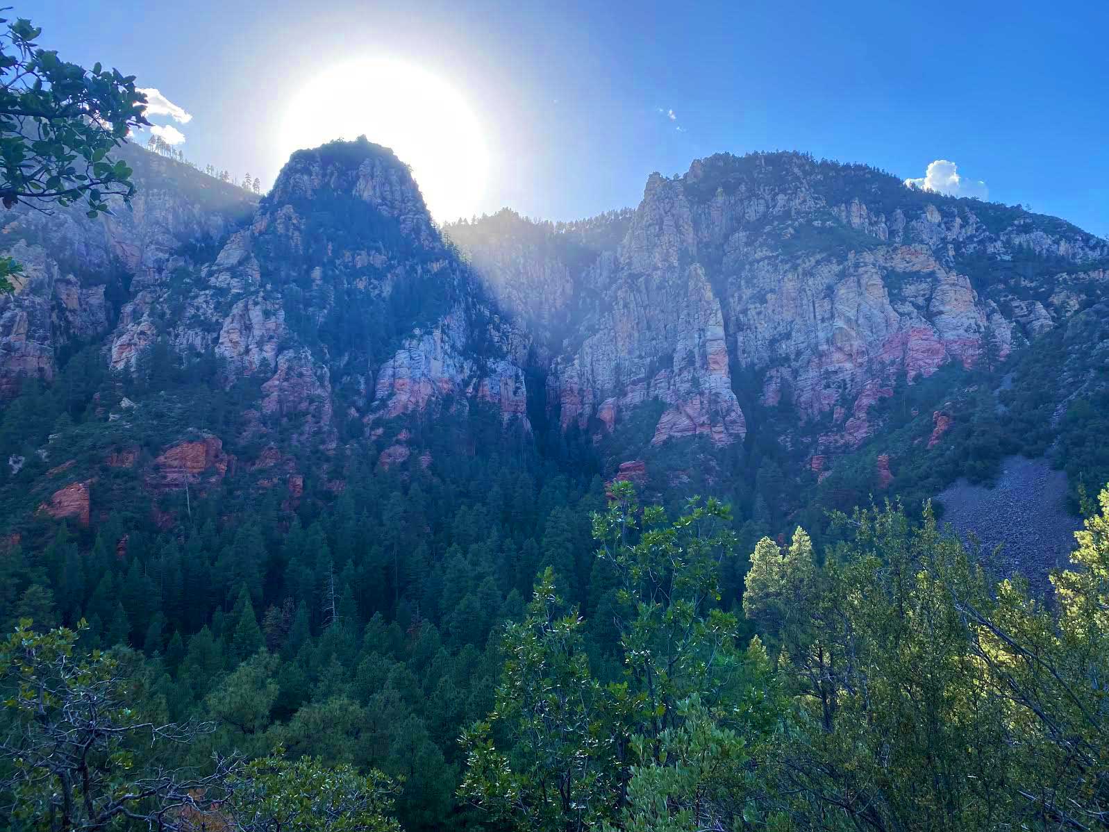 Sunlit canyon cliffs and pine forest near Flagstaff, Arizona